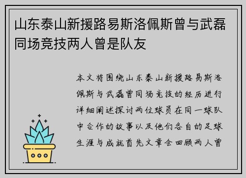 山东泰山新援路易斯洛佩斯曾与武磊同场竞技两人曾是队友