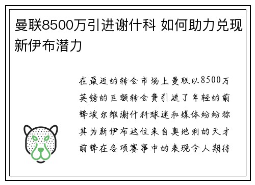 曼联8500万引进谢什科 如何助力兑现新伊布潜力